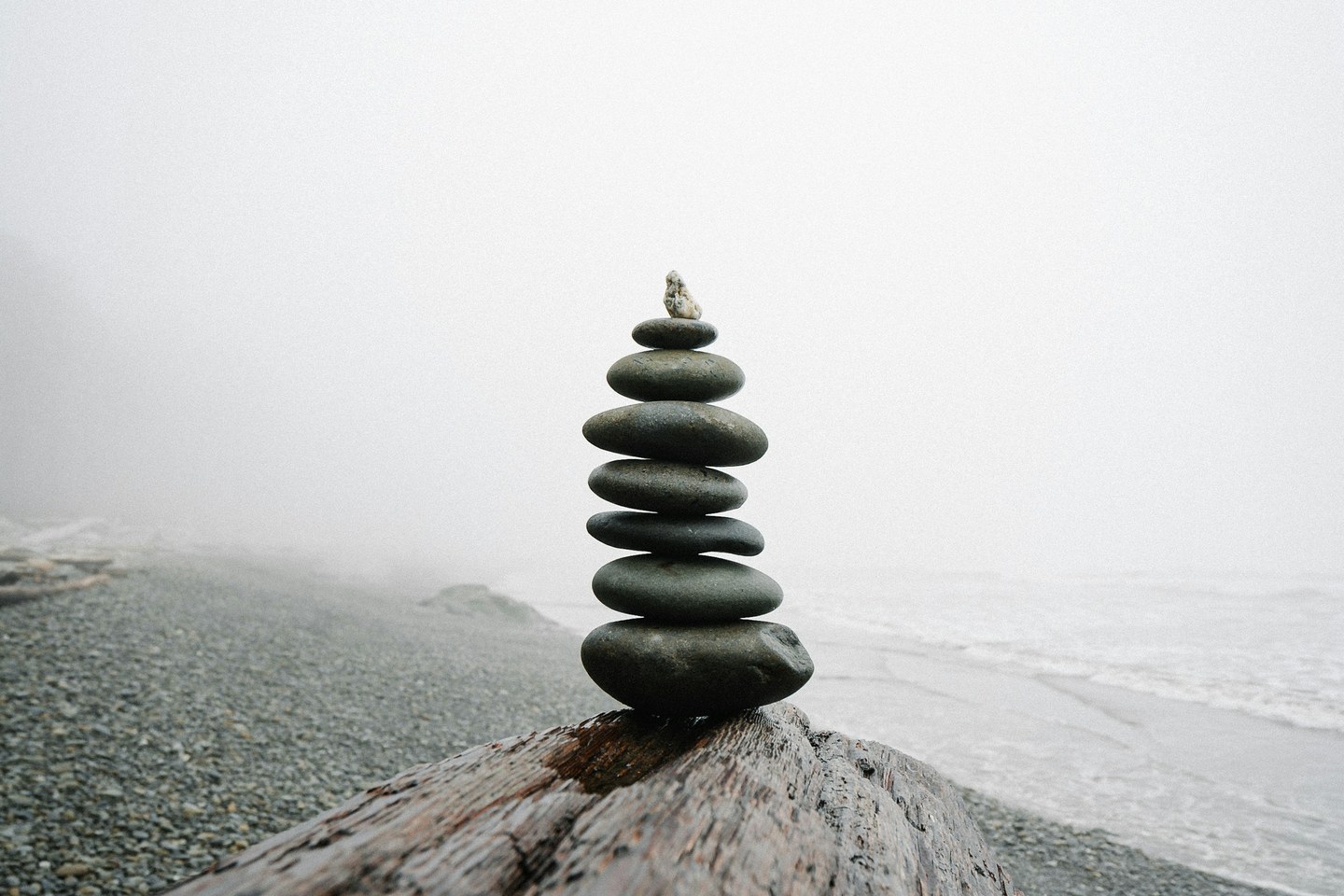 A balanced cairn of seven dark stones on weathered driftwood, fog receding into a quiet beach behind it.